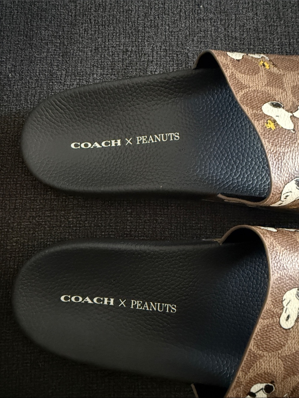 Coach x Peanuts Snoopy Graphic Slide Sandals - Picture 2 of 4